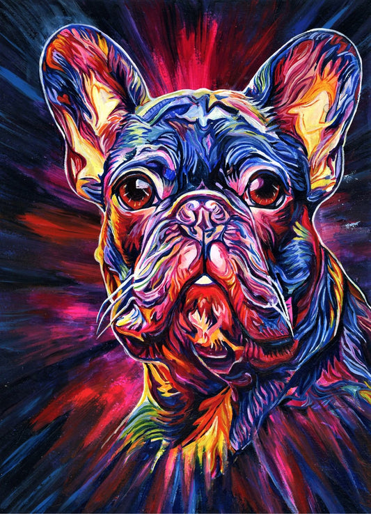 French Bulldog